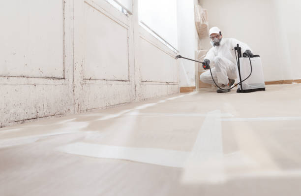 24/7 Emergency Black Mold Remediation experts in Marion, KY