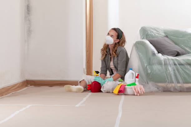 Reliable Black Mold Remediation contractor in Marion, KY by Mold Remediation HQ